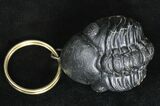 Real Enrolled Reedops Trilobite Keychain #18673-1